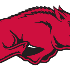 Arkansas Razorbacks