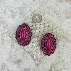 ER211230-04  Natural Stone Oval Concho Earring