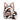 WG133-8600 Wrangler Cow Print Mini Backpack With Coin Pouch - Pink